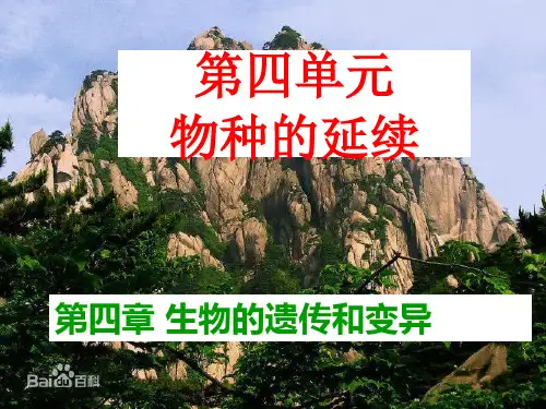 济南版八年级生物上册第四单元第四章第四节生物的变异课件(20张PPT)