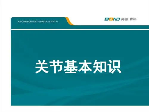 关节基本知识