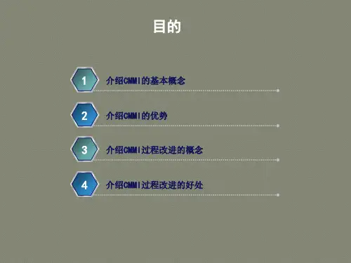 CMMI基础简介