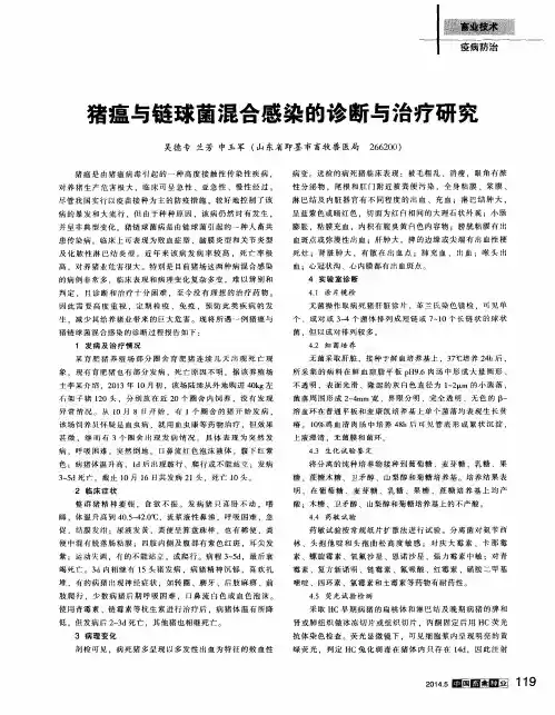 猪瘟与链球菌混合感染的诊断与治疗研究