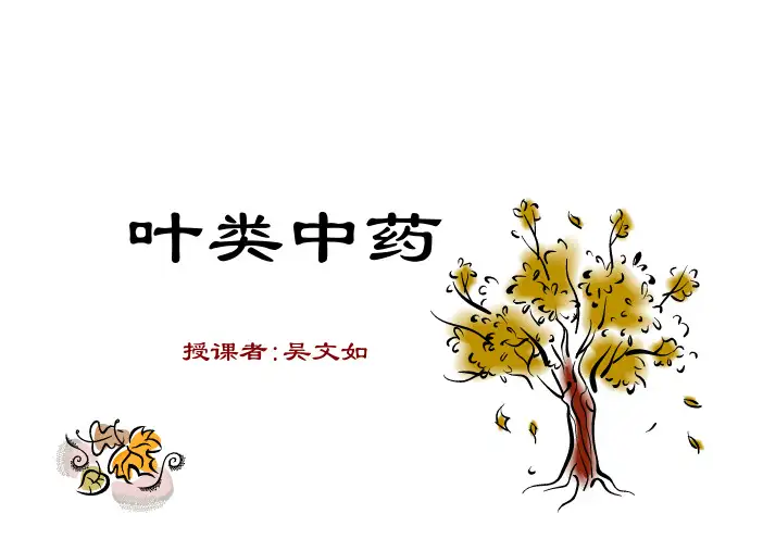 1第11章叶类中药