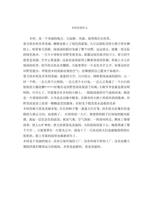 乡村美景作文