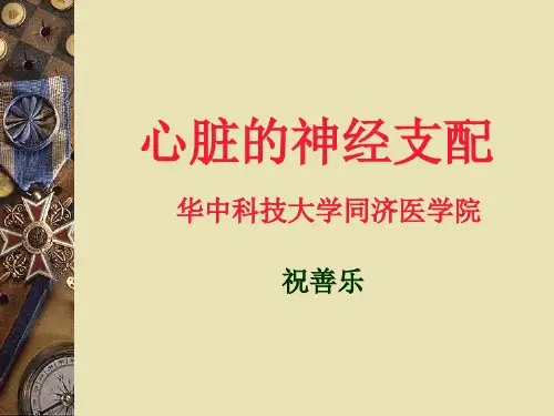 心脏的神经(研究生用)