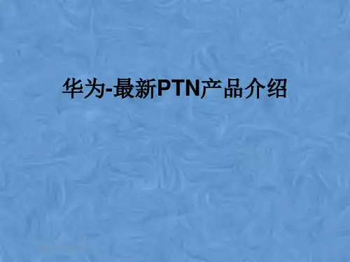 华为-最新PTN产品介绍