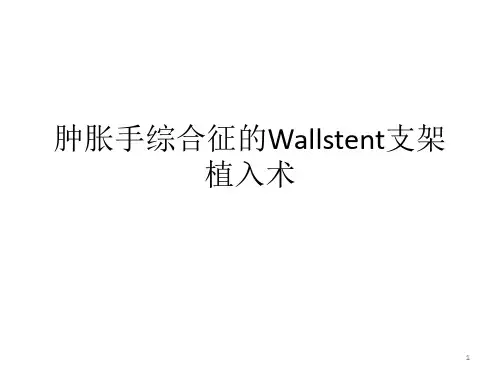 肿胀手综合征的Wallstent支架植入术总结精品PPT课件