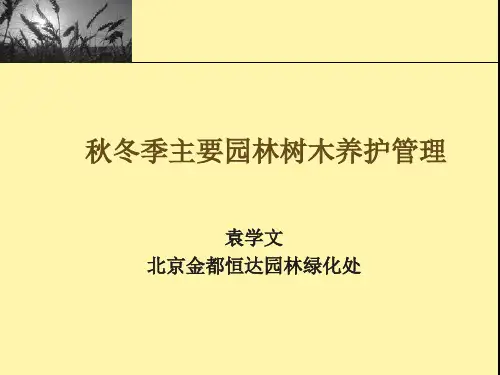 冬季园林树木养护管理冬季修剪