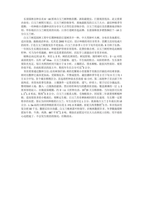 白玉兰多少钱