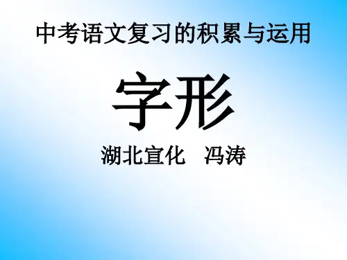 中考语文复习--字形