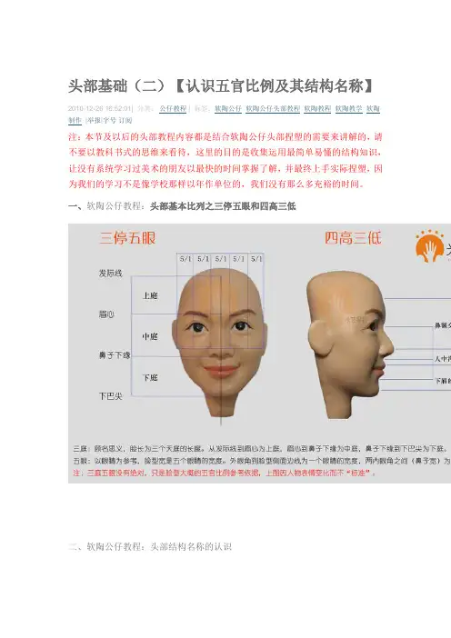 头部基础(二)【认识五官比例及其结构名称】