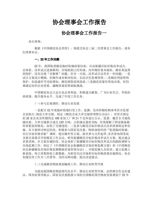 协会理事会工作报告 2
