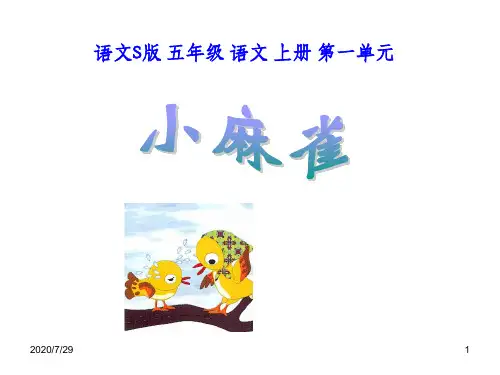 语文S版五年级语文上册《小麻雀》ppt课件03