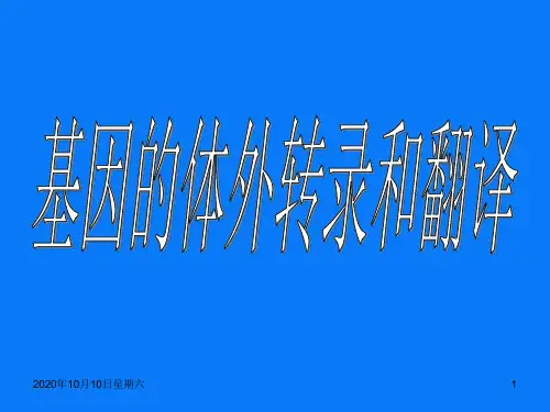 基因的体外转录与翻译