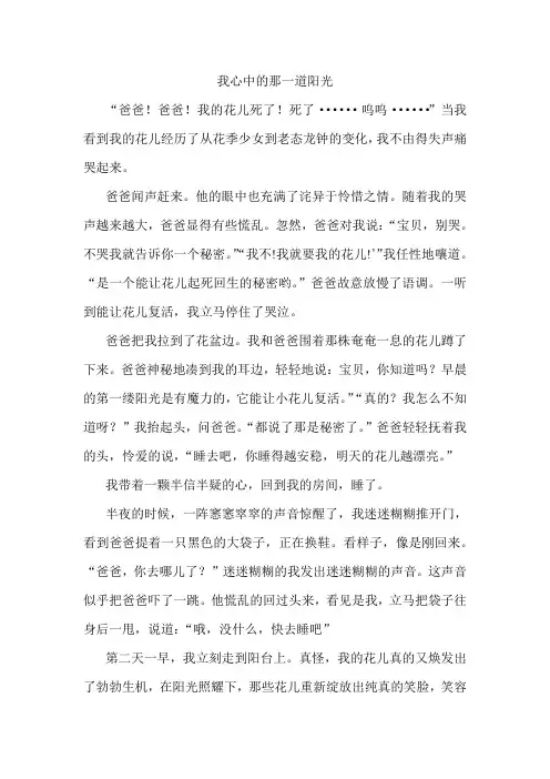 我心中的那一道阳光 2