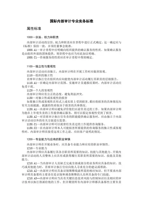 内部审计专业实务标准