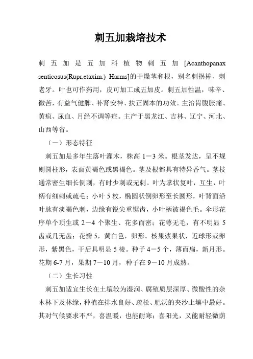 刺五加栽培技术