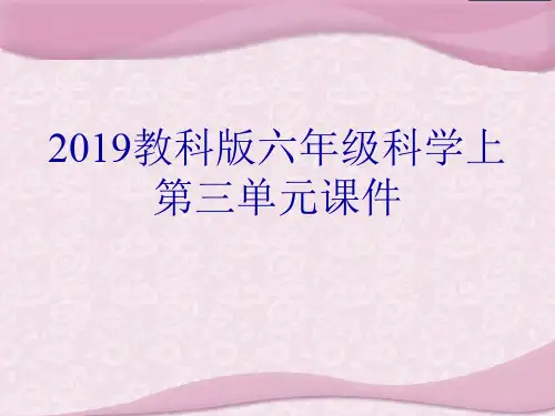 教科版六年级科学上第三单元课件