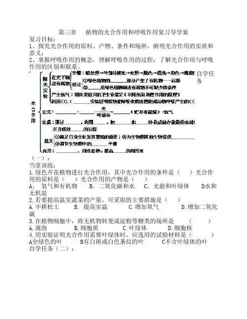 光合作用和呼吸作用复习学案