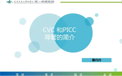 CVC 和 ICC导管护理要点