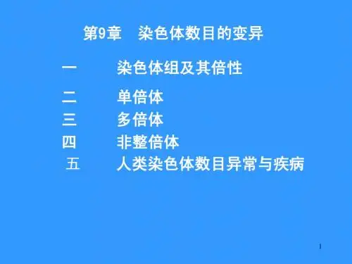 第9章  染色体的数量变异