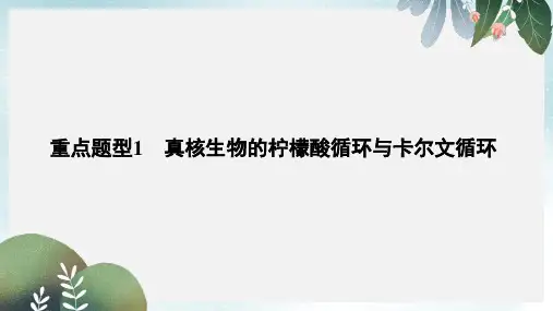 高考生物总复习第一部分非选择题必考五大专题专题一细胞的代谢重点题型1真核生物的柠檬酸循环与卡尔文循环