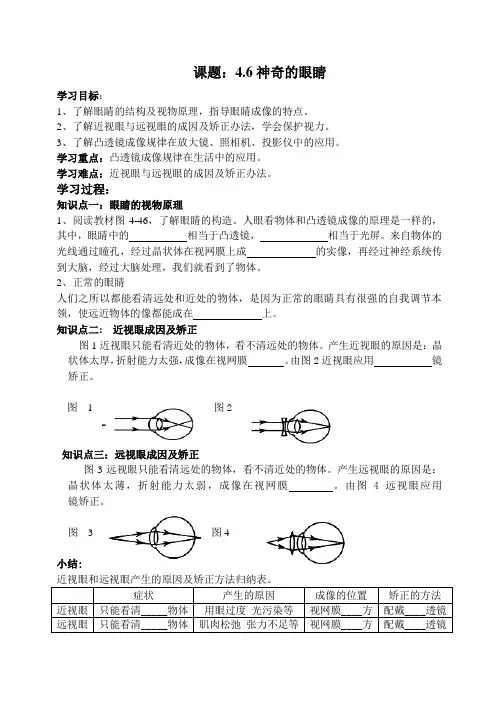 4.6神奇的眼睛导学案