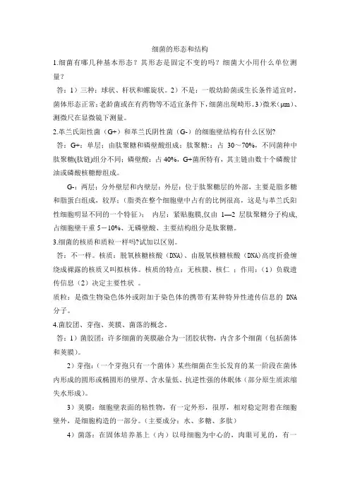 细菌的形态结构