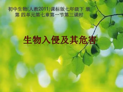 人教版七年级下册生物：科学 技术 社会 生物入侵及其危害 (3)