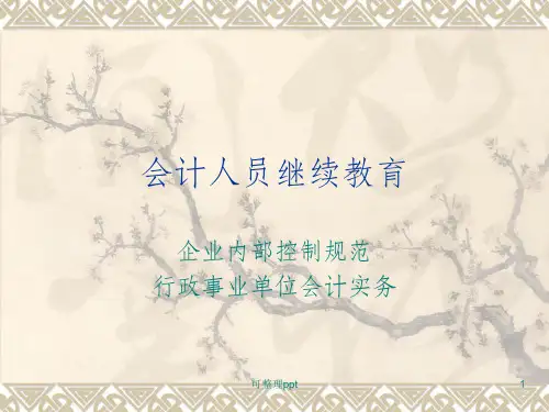 《会计人员继续教育》PPT课件