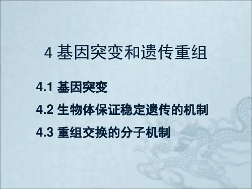 第四章 基因突变和遗传重组