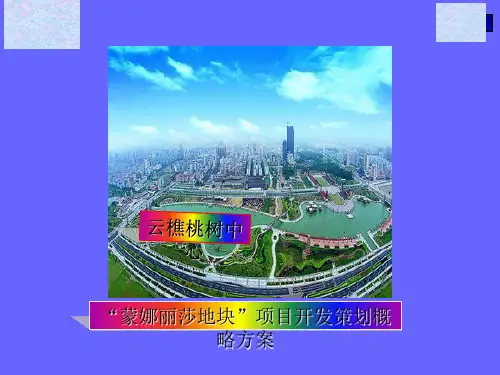 某地块项目开发策划概略方案PPT(共 46张)