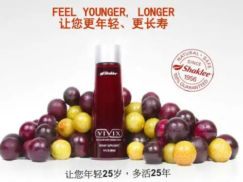 VIVIX介绍