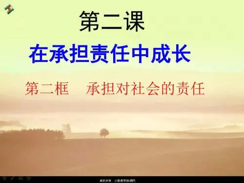 九年级政治承担对社会的责任