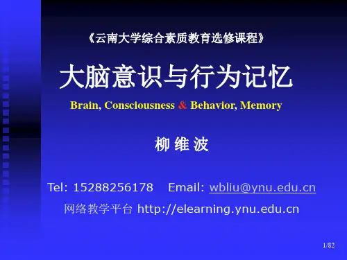 大脑意识与行为记忆03