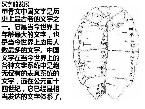 汉字发展史
