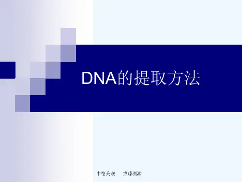 DNA的提取方法.ppt