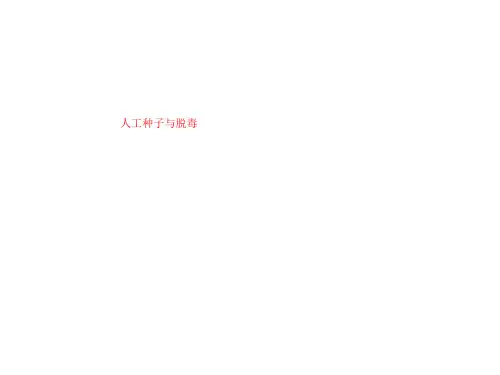 人工种子与脱毒