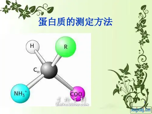 蛋白质的测定