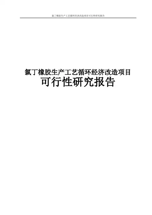 氯丁橡胶生产工艺循环经济改造项目可行性研究报告