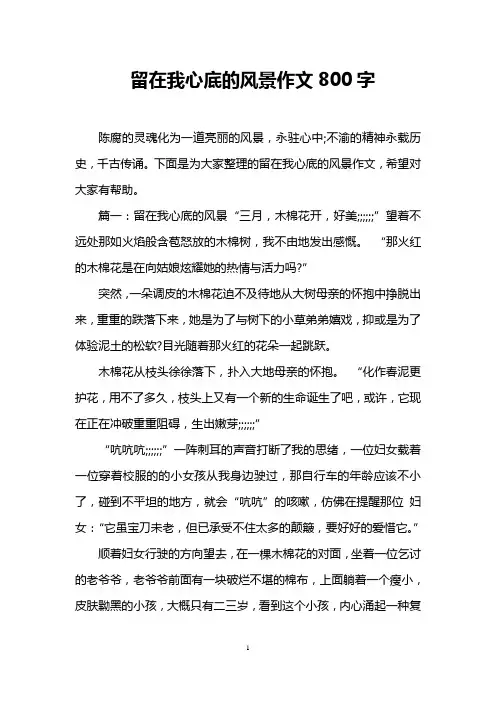 留在我心底的风景作文800字
