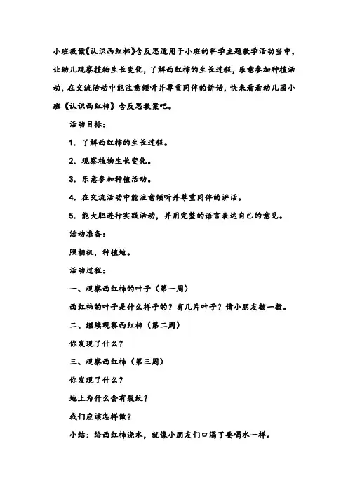 幼儿园小班科学教案《认识西红柿》含反思