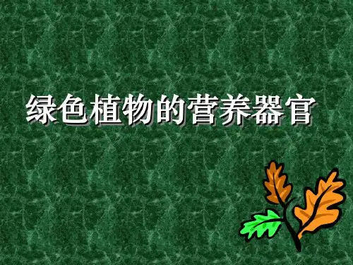 【精品课件】八年级科学绿色植物的营养器官39页PPT