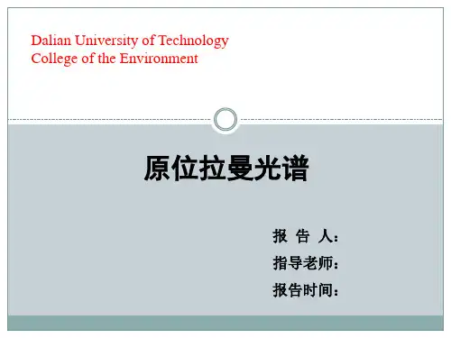 原位拉曼光谱在线分析