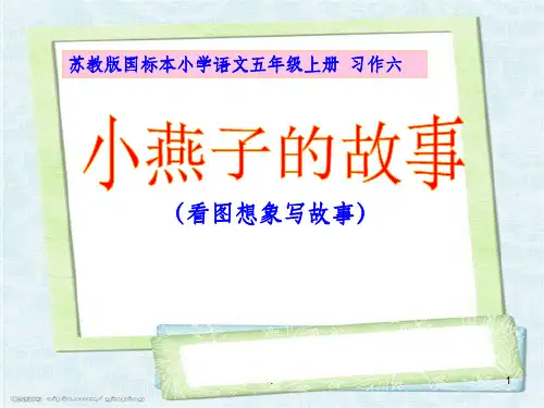 苏教版小学五年级语文上册习作6PPT课件