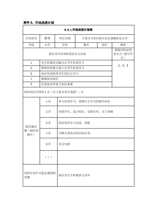 行动改进计划