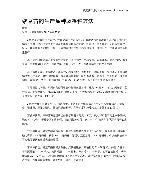 豌豆苗的生产品种及播种方法