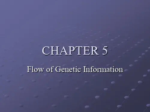 biochemistry chapter5