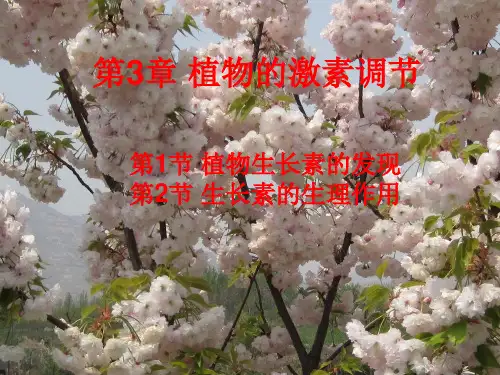 2011届生物高考一轮复习课件：必修3 第3章 植物的激素调节 第1-2节