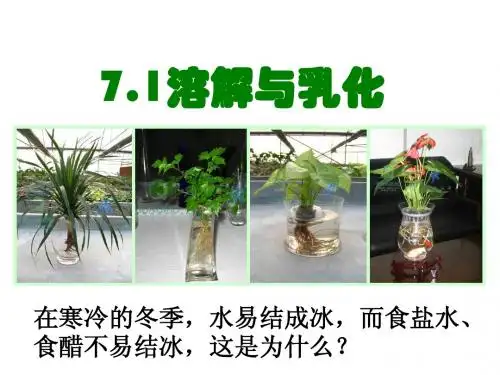 7.1溶解与乳化课件