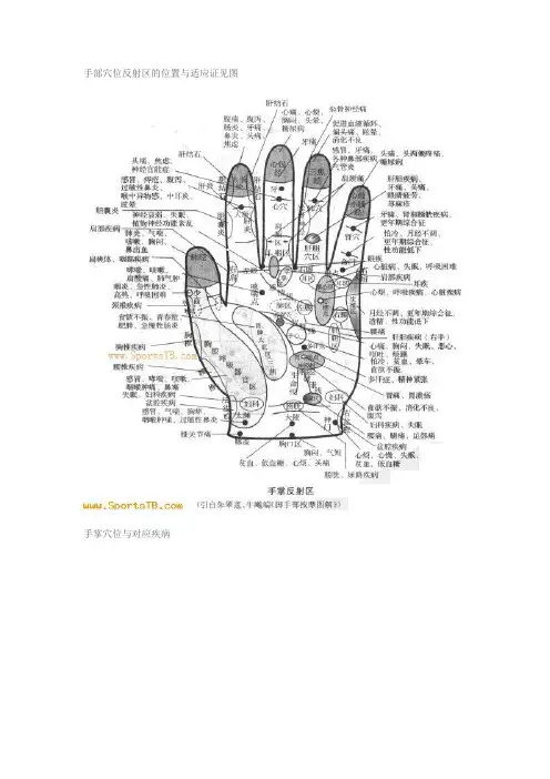 手部穴位反射区的位置与适应证见图
