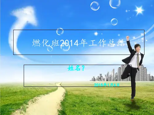 2015年度工作总结解析PPT课件